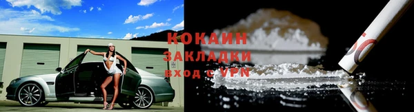 PSILOCYBIN Кулебаки