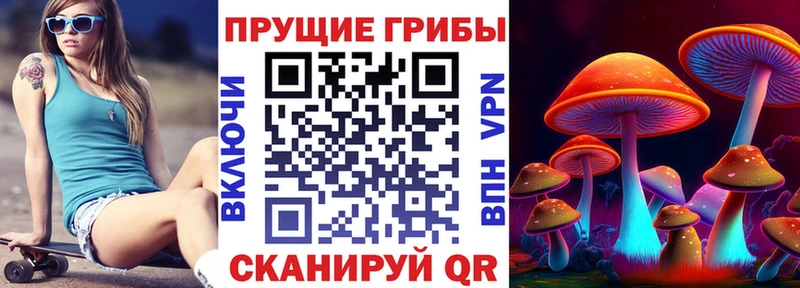 Псилоцибиновые грибы Psilocybe  Купить где  Зуевка 